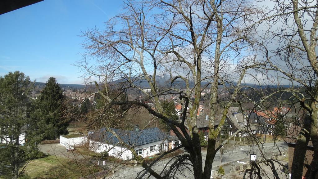 Bergziege Braunlage Exterior foto