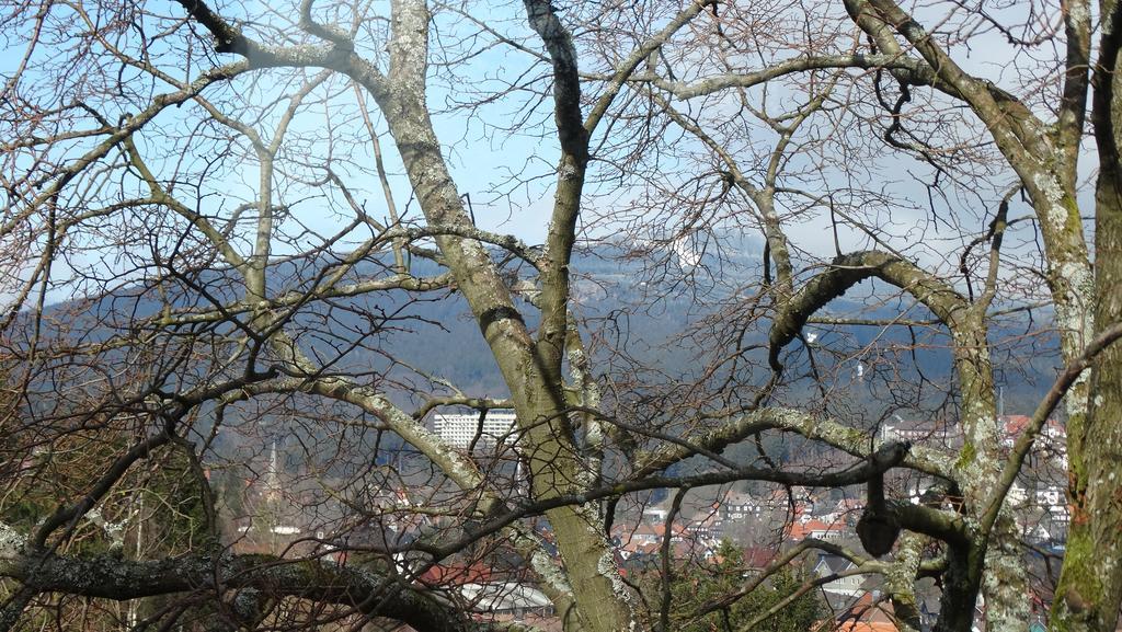 Bergziege Braunlage Exterior foto